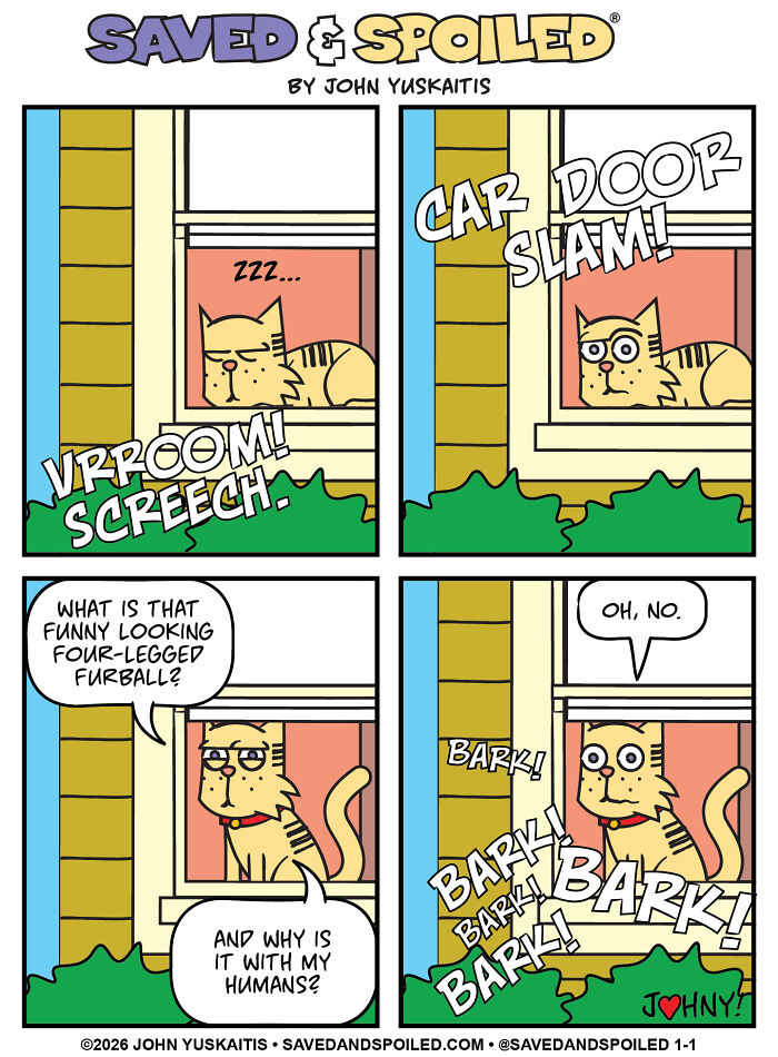 Dewey Meets The New Roommate