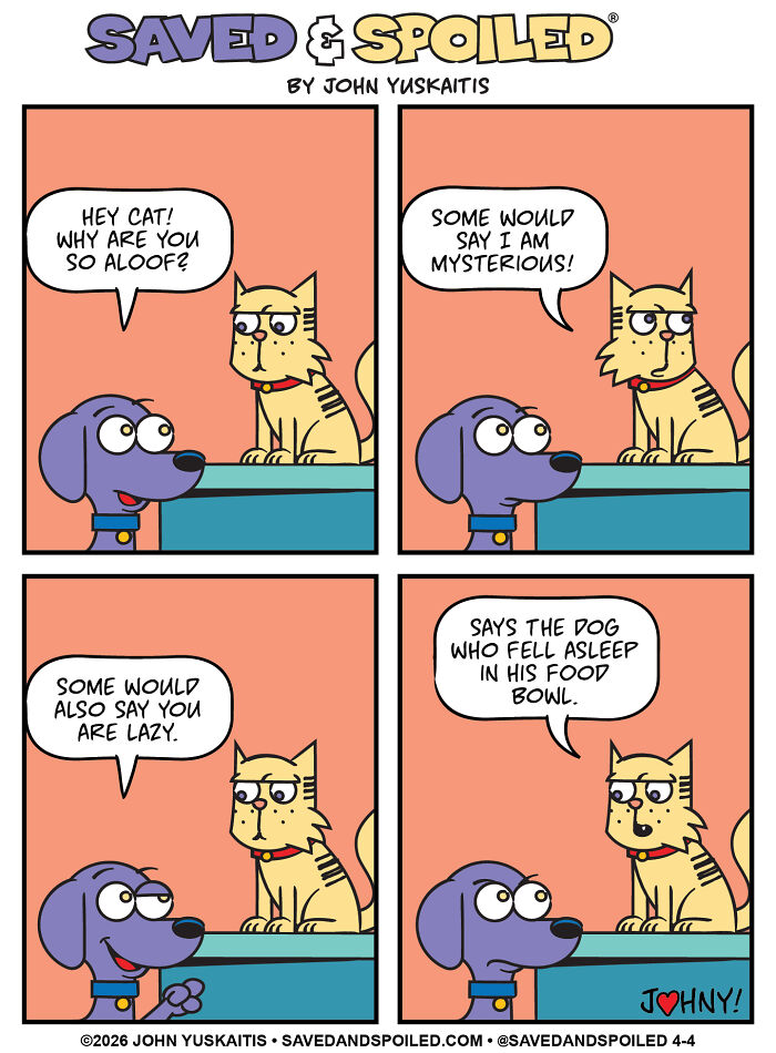 Wilson’s Deep Cat Questions