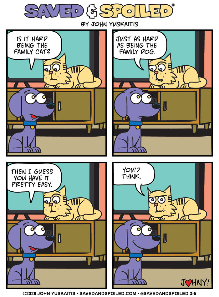 Wilson’s Cat Life Questions