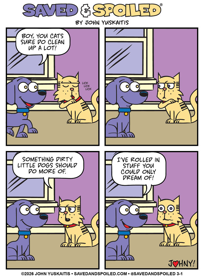 Dewey’s Hygiene Advice