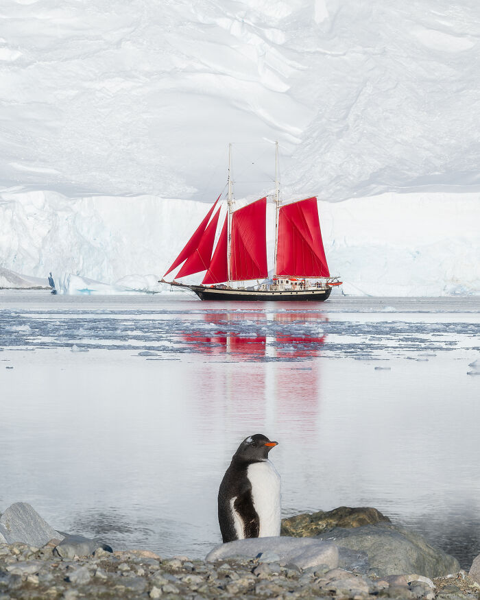 Wait, They Actually Took These Dreamy Shots In Antarctica?!
