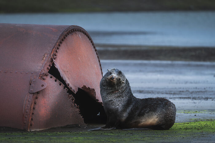 Wait, They Actually Took These Dreamy Shots In Antarctica?!