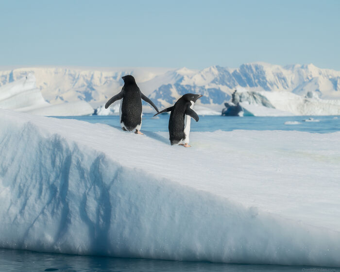 Wait, They Actually Took These Dreamy Shots In Antarctica?!