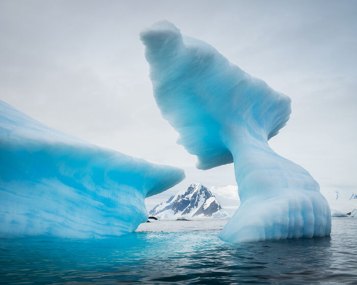 Wait, They Actually Took These Dreamy Shots In Antarctica?!