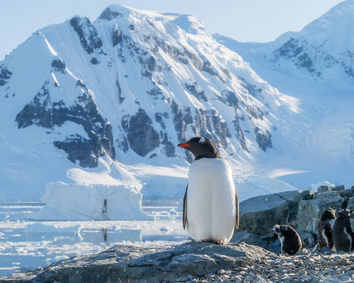 Wait, They Actually Took These Dreamy Shots In Antarctica?!