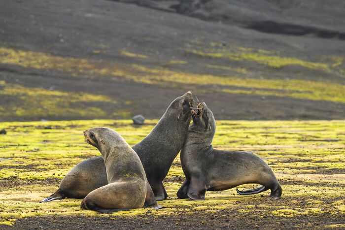 Wait, They Actually Took These Dreamy Shots In Antarctica?!