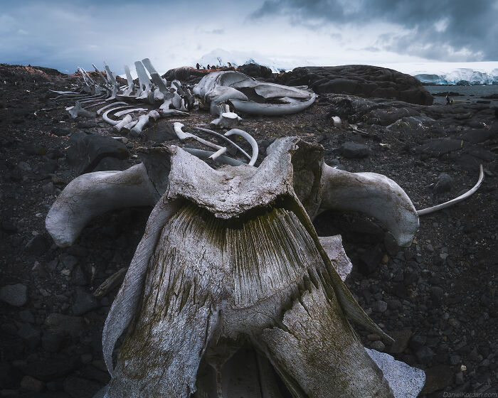 Wait, They Actually Took These Dreamy Shots In Antarctica?!