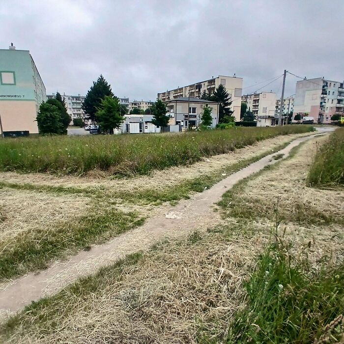 City Sorta Acknowledges These Rebel Paths By Mowing Nearby Grass