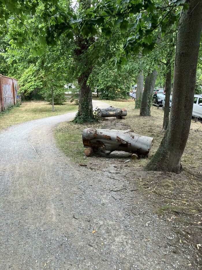 The Sad Story Of A Desire Path That Met Its End