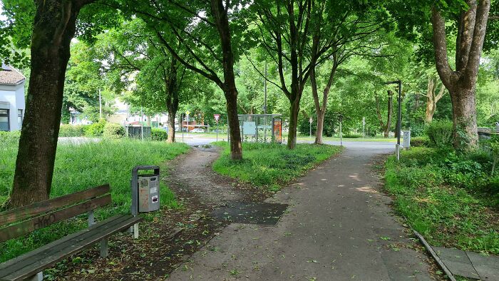 Never Used The Official Route In 11 Years — Shortcut Life!