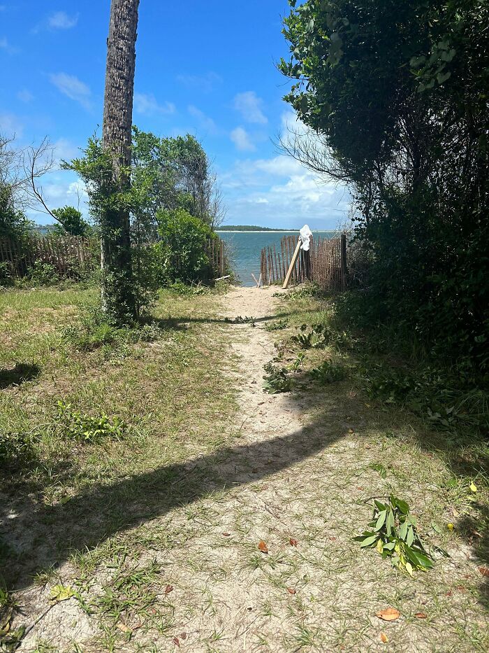 What Kind Of Path Is This? The Mysterious Desire Path