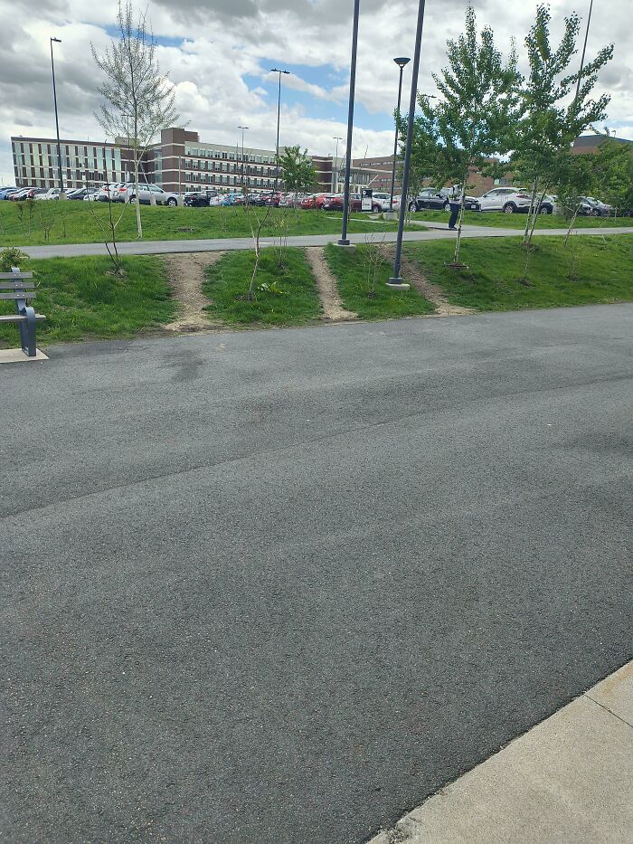 Triple Trouble: Three Desire Paths In One Spot