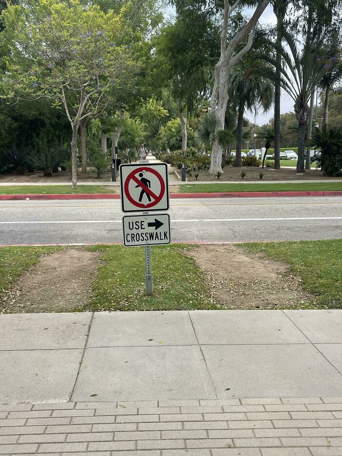 A Desire Path In Fancy Beverly Hills