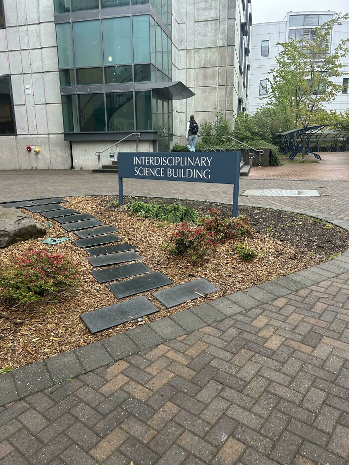 University Real Talk: Paved Their Shortcut Because It’s That Popular