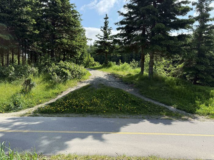 This Desire Path Is Pretty Sophisticated, Not Gonna Lie