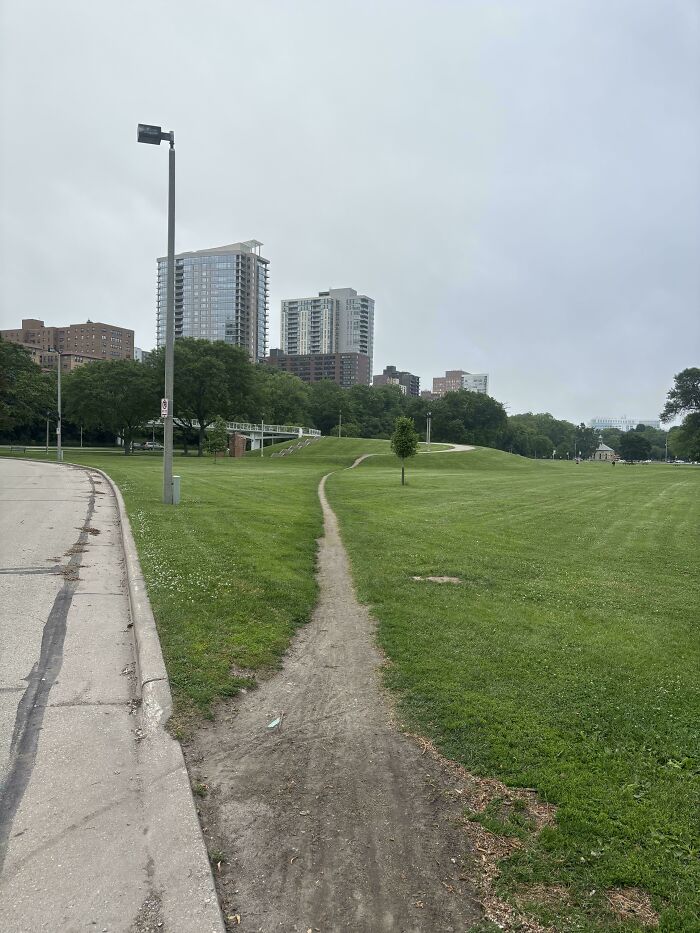 Best Desire Path I've Seen In Real Life