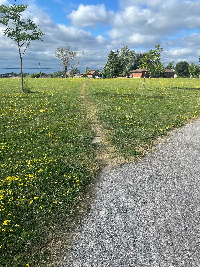 Who Would’ve Thought This Little Shortcut Could Exist?