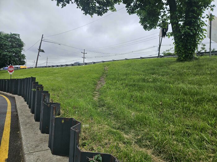 Shortcut To The Bus Stop, No Brainer