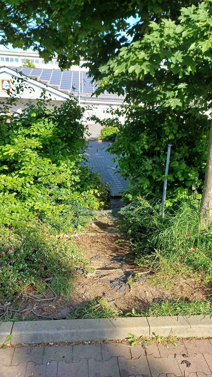The Shortcut Between Two German Supermarkets