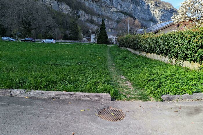 A Grassy Shortcut That Just Works