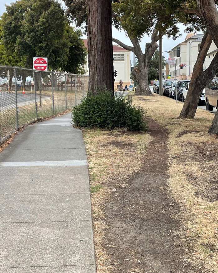 Wait, At First I Was Confused By This Path