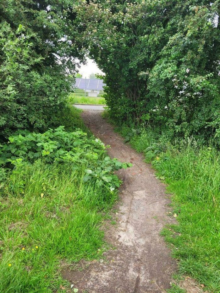 This Desire Path Is Right Next To An Ikea—Perfect!