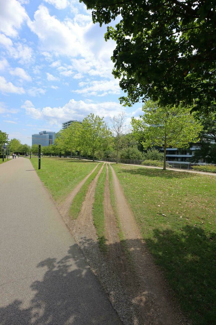 Why Take One Path When You Can Have Four?