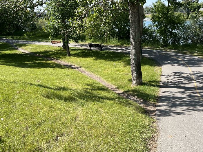 Why Walk A Lot When A Few Steps Will Do?