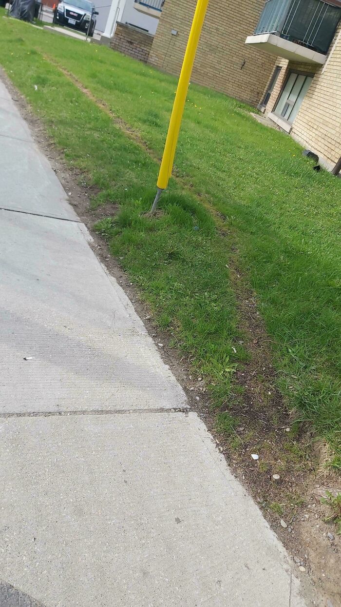 How The Heck Did This Desire Path Even Form? Ah, That’s How!