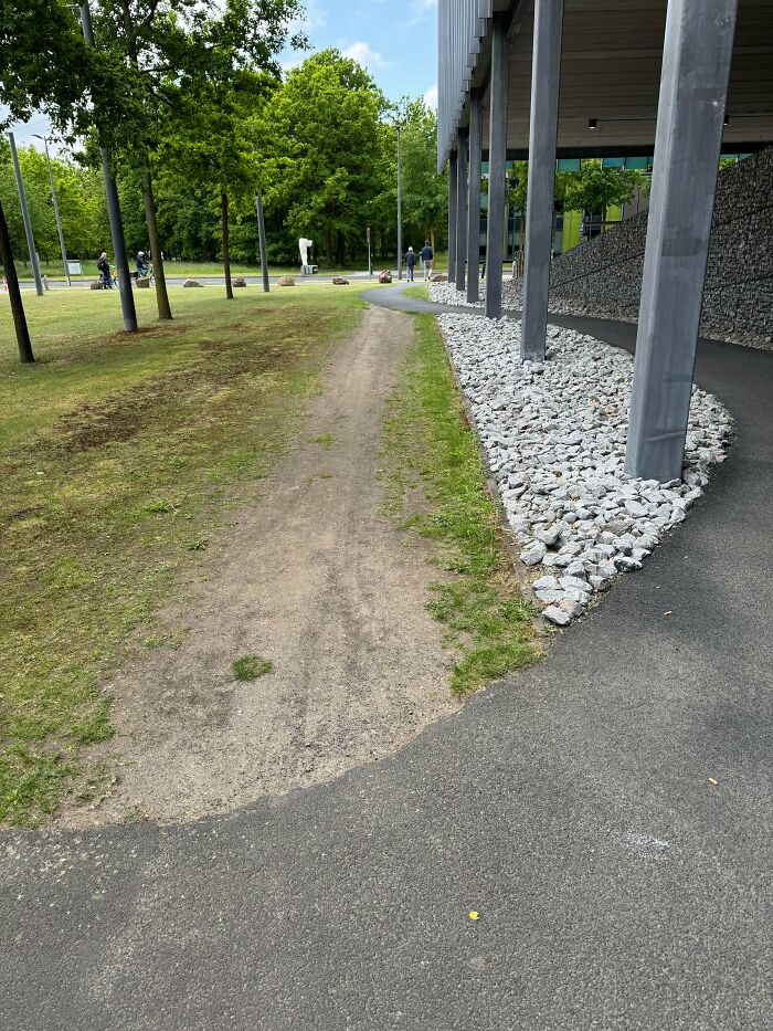 Triple Desire Path? Now That’s Dedication