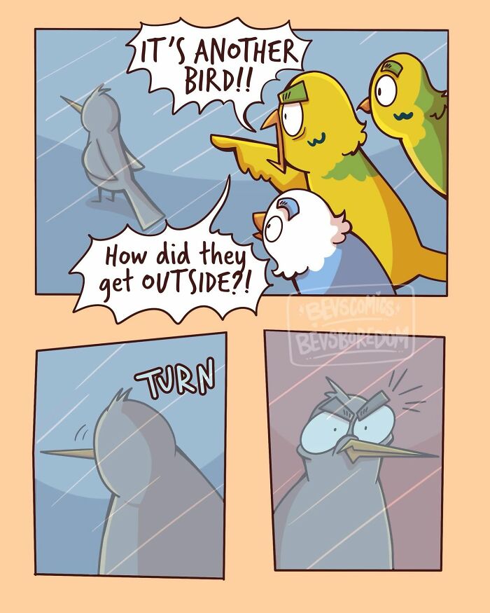 30 Comics That Nail Life's Awkward, Funny Moments (You'll Totally Relate)