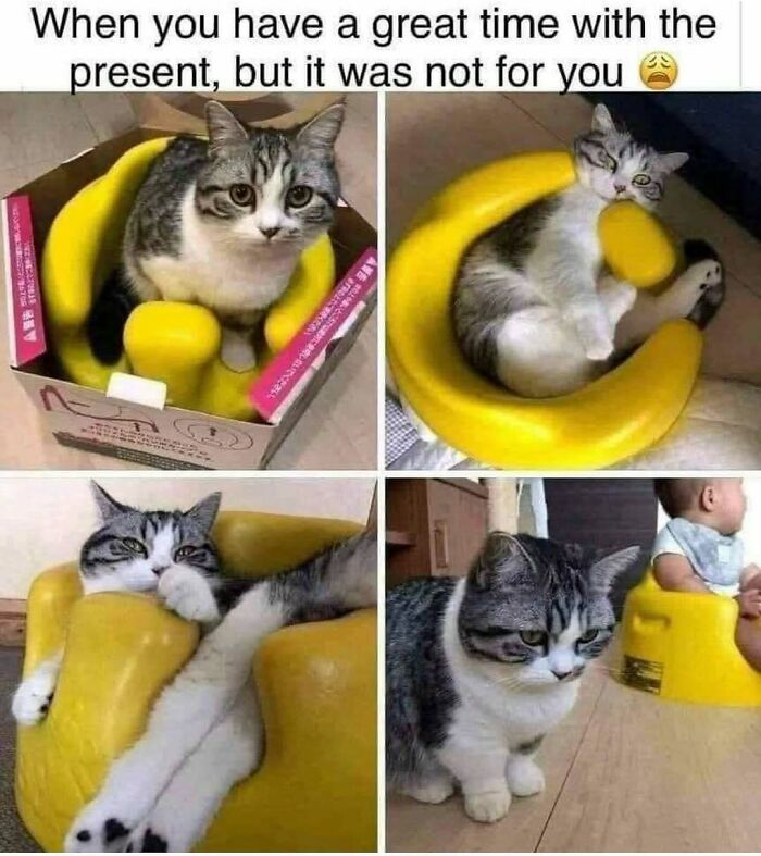 64 Random Silly Memes That’ll Totally Make Your Day Better