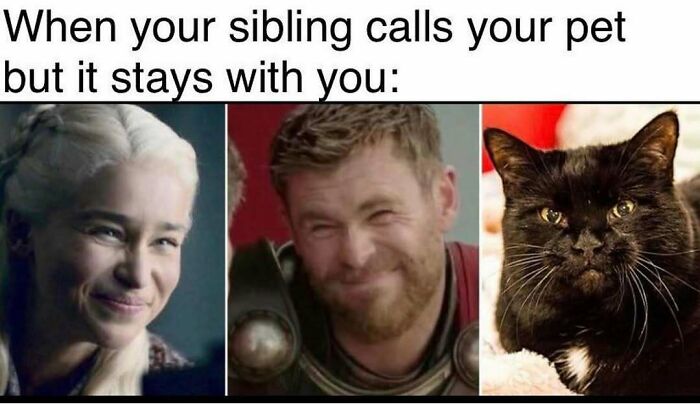 64 Random Silly Memes That’ll Totally Make Your Day Better
