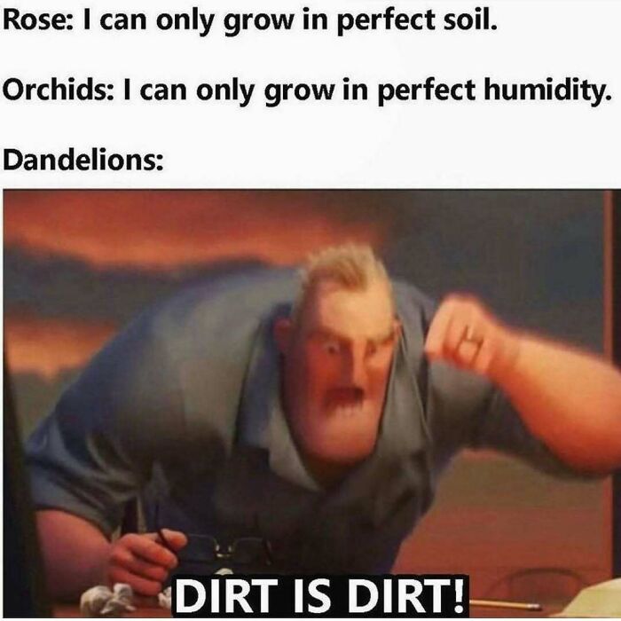 64 Random Silly Memes That’ll Totally Make Your Day Better