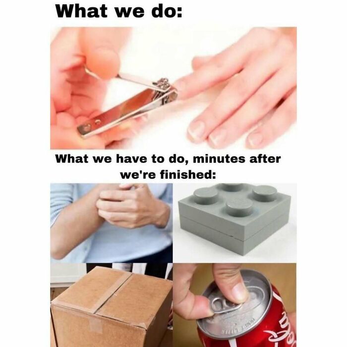64 Random Silly Memes That’ll Totally Make Your Day Better