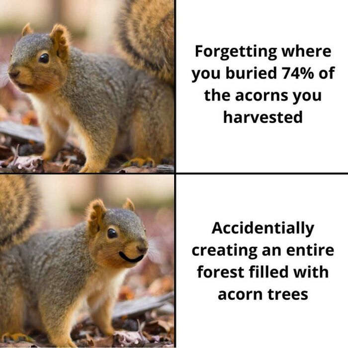 64 Random Silly Memes That’ll Totally Make Your Day Better