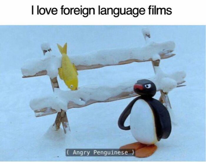 64 Random Silly Memes That’ll Totally Make Your Day Better