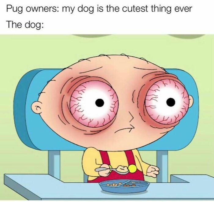 64 Random Silly Memes That’ll Totally Make Your Day Better