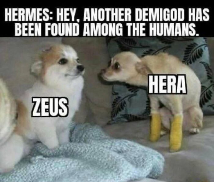 64 Random Silly Memes That’ll Totally Make Your Day Better