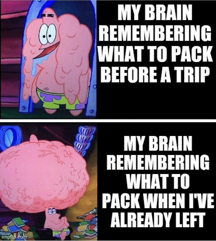64 Random Silly Memes That’ll Totally Make Your Day Better