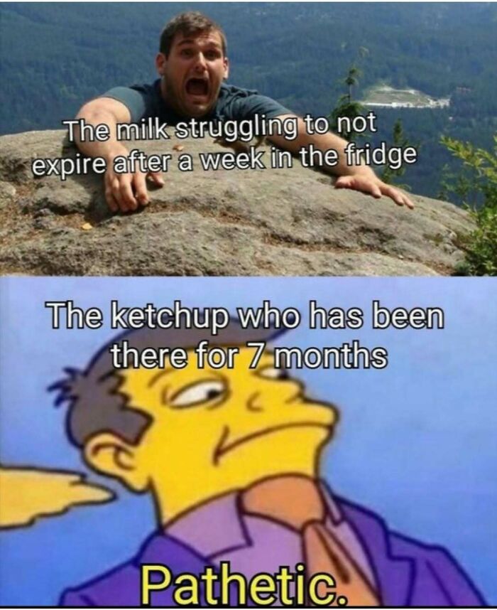 64 Random Silly Memes That’ll Totally Make Your Day Better