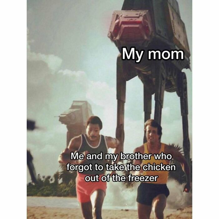 64 Random Silly Memes That’ll Totally Make Your Day Better