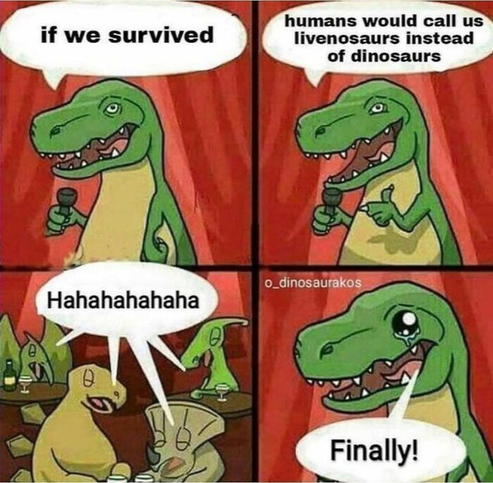 64 Random Silly Memes That’ll Totally Make Your Day Better