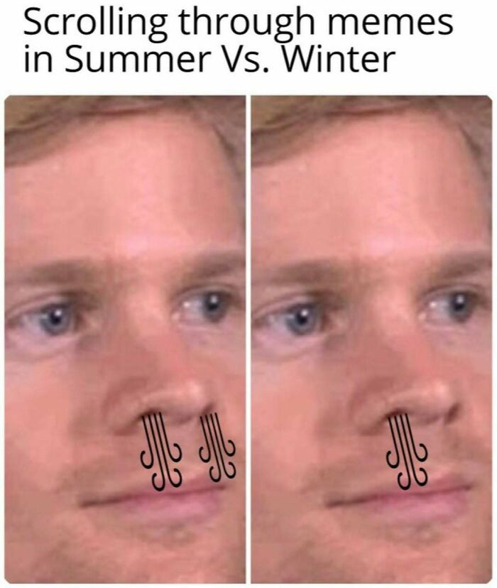 64 Random Silly Memes That’ll Totally Make Your Day Better