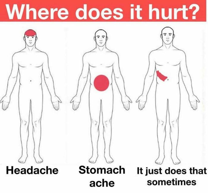 64 Random Silly Memes That’ll Totally Make Your Day Better