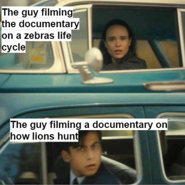 64 Random Silly Memes That’ll Totally Make Your Day Better