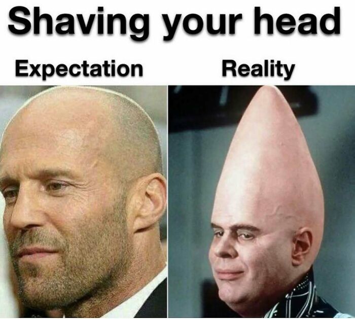 64 Random Silly Memes That’ll Totally Make Your Day Better