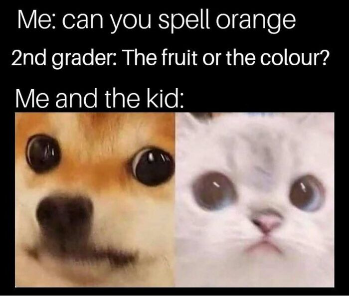 64 Random Silly Memes That’ll Totally Make Your Day Better