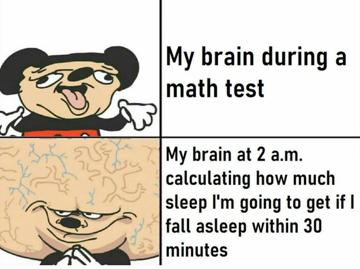 64 Random Silly Memes That’ll Totally Make Your Day Better