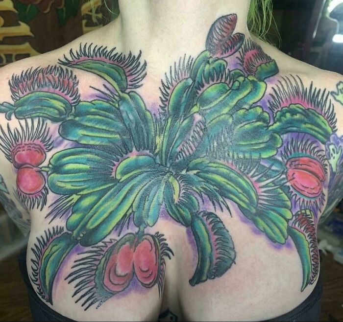 Testicle Venus Flytrap Coverup—You Read That Right